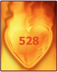 528heart