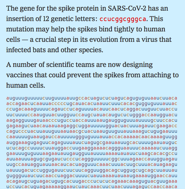 Coronavirus Conspiracy