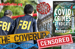 The COVID CRIMES SYNDICATE: Report to Congress & the DOJ
