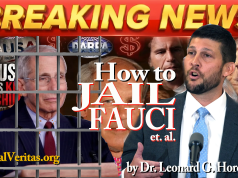 FAUCI, ET. AL., CRIMINAL PROSECUTORIAL ROADMAP