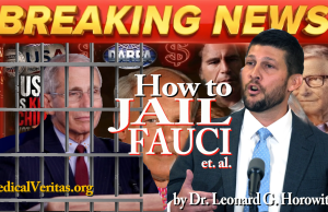 FAUCI, ET. AL., CRIMINAL PROSECUTORIAL ROADMAP